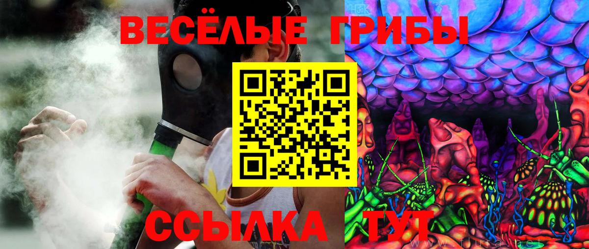 Псилоцибиновые грибы Psilocybine cubensis Павлово