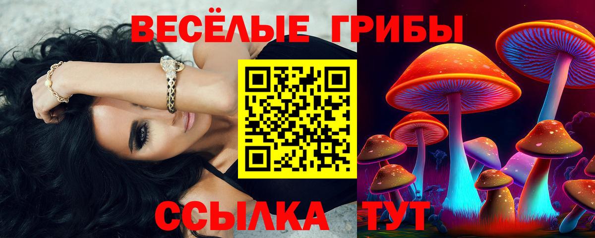 Псилоцибиновые грибы MAGIC MUSHROOMS  Галлюциногенные грибы мухоморы  Павлово  хочу   Вход с VPN 